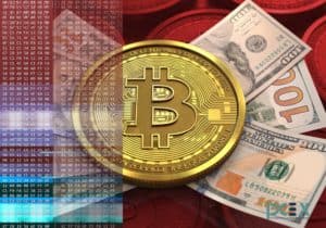  Bitcoin Exchanges 2019